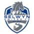 塞尔温联合